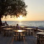 Hotel Alex 4*