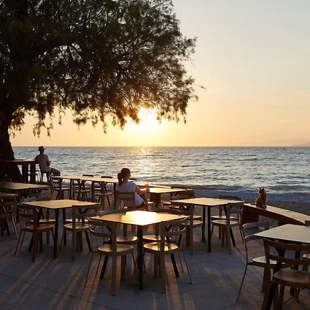 Hotel Alex 4*