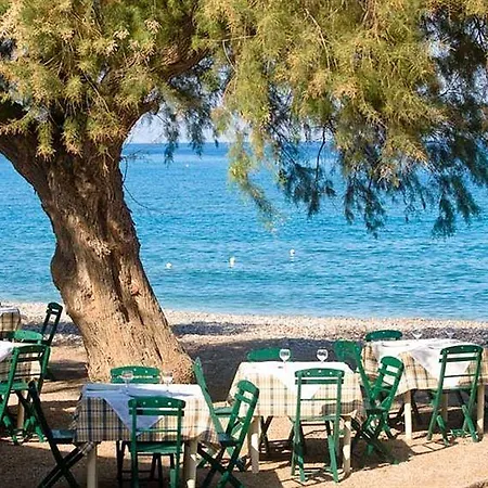 Alex Hotel