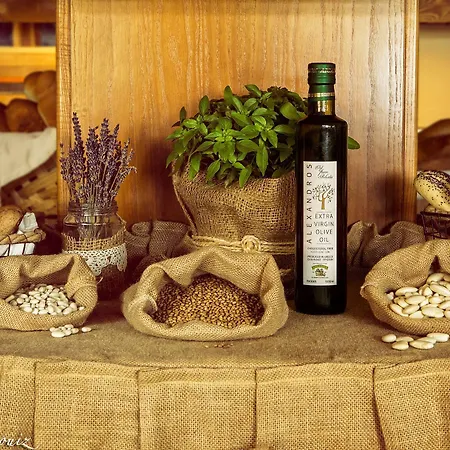 Hotel Alex Theológos