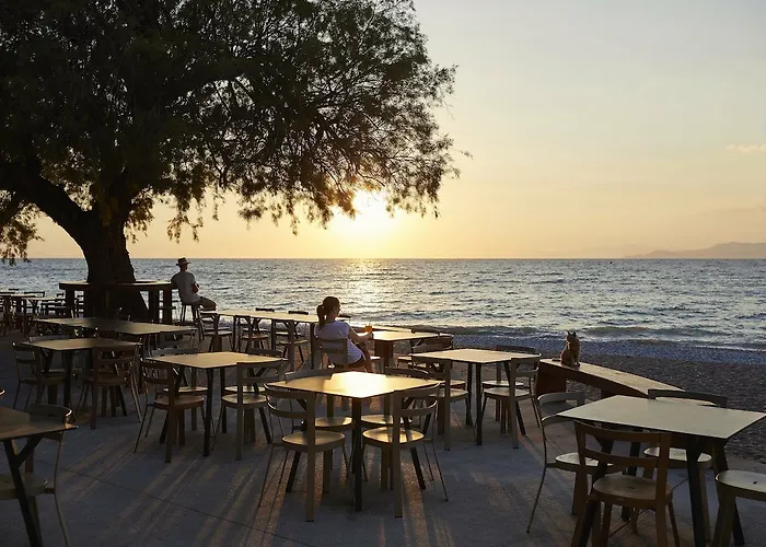 Alex Hotel Theológos